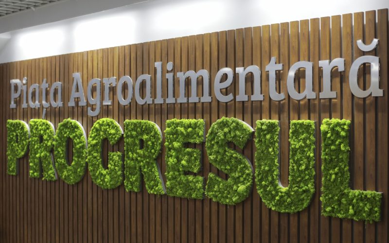 Piața Progresul, pericol de demolare: Terenul, transformat în proiect educațional