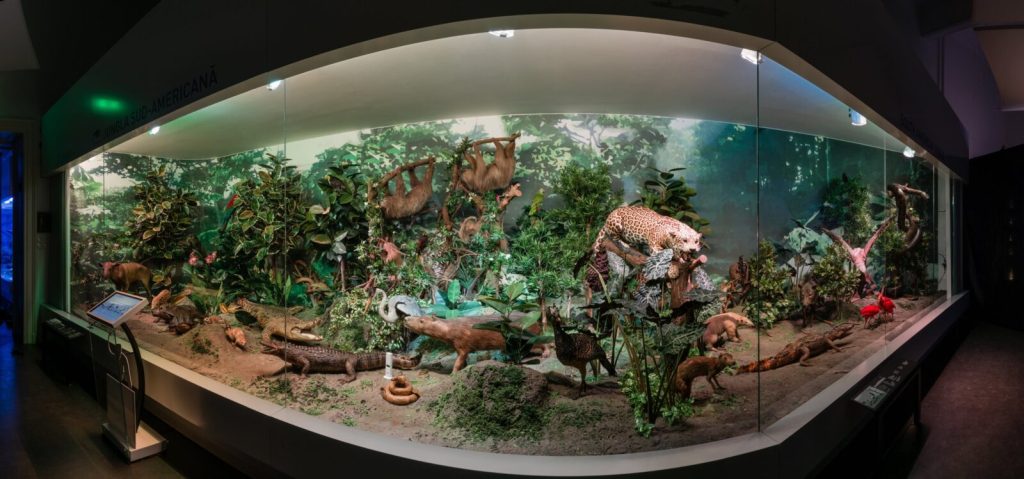Antipa: Intrarea gratuită la expoziția permanentă, în Noaptea Muzeelor
