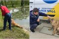 Bărbat din București, anchetat: Ar fi vrut să înece un câine în Parcul Tineretului