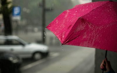 Ploi torențiale: Cod galben în București, Ilfov și 3 județe, până diseară