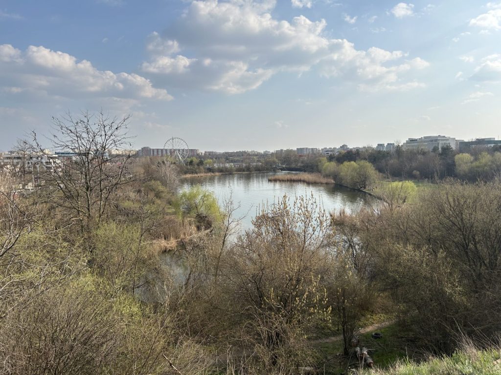 Ateliere, tururi și biodiversitate: platformă de mediu din București, 5 ani