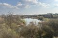 Ateliere, tururi și biodiversitate: platformă de mediu din București, 5 ani