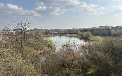 Ateliere, tururi și biodiversitate: platformă de mediu din București, 5 ani