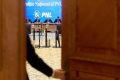 PNL își redesenează structura de putere prin modificări statutare majore, vizând centralizarea deciziilor și accelerarea procedurilor interne
