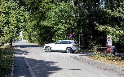 Greenfield: Cer refacerea drumului prin Pădurea Băneasa!