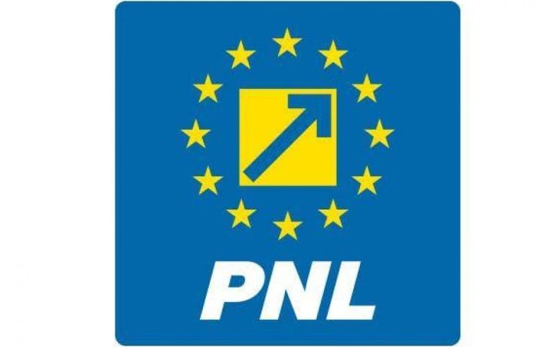 PNL: Contestatarii dau în judecată decizia BPN pe votul pentru Guvernul Veștea