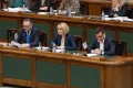 Deputatul PSD Diana Tușa a declarat public că intrarea partidului său la guvernare alături de liderul PNL, Ilie Bolojan, a fost o greșeală majoră