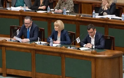 Deputatul PSD Diana Tușa a declarat public că intrarea partidului său la guvernare alături de liderul PNL, Ilie Bolojan, a fost o greșeală majoră