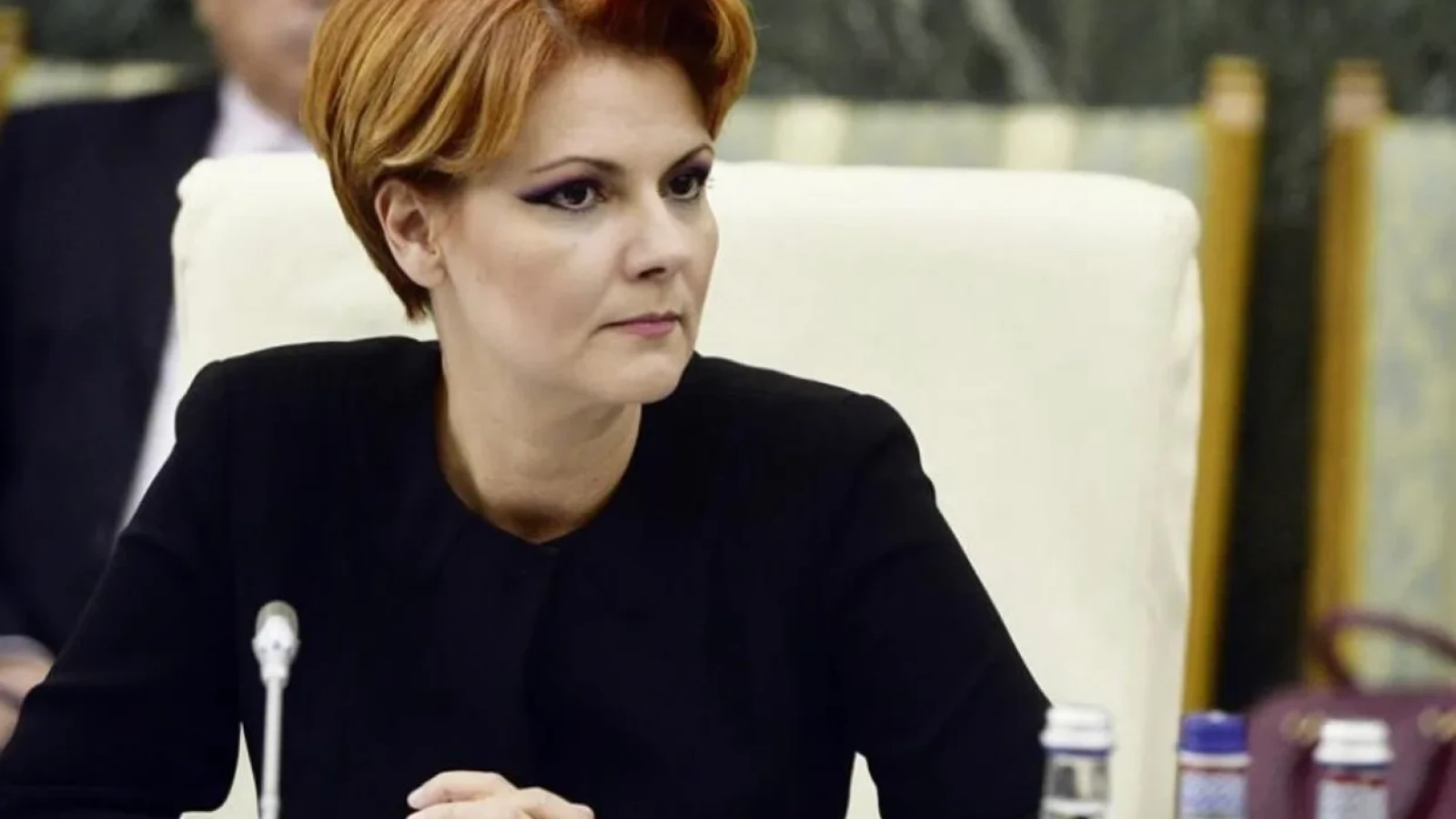 lia-olguta-vasilescu_fILgn.webp.webp