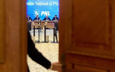 Deputatul PNL Mihai Culeafă se alătură taberei care îl susține pe Adrian Veștea pentru funcția de prim-ministru, declarând că alegerea sa este menită să aducă stabilitate politică în România, în detrimentul unor potențiale escaladări ale conflictelor interne