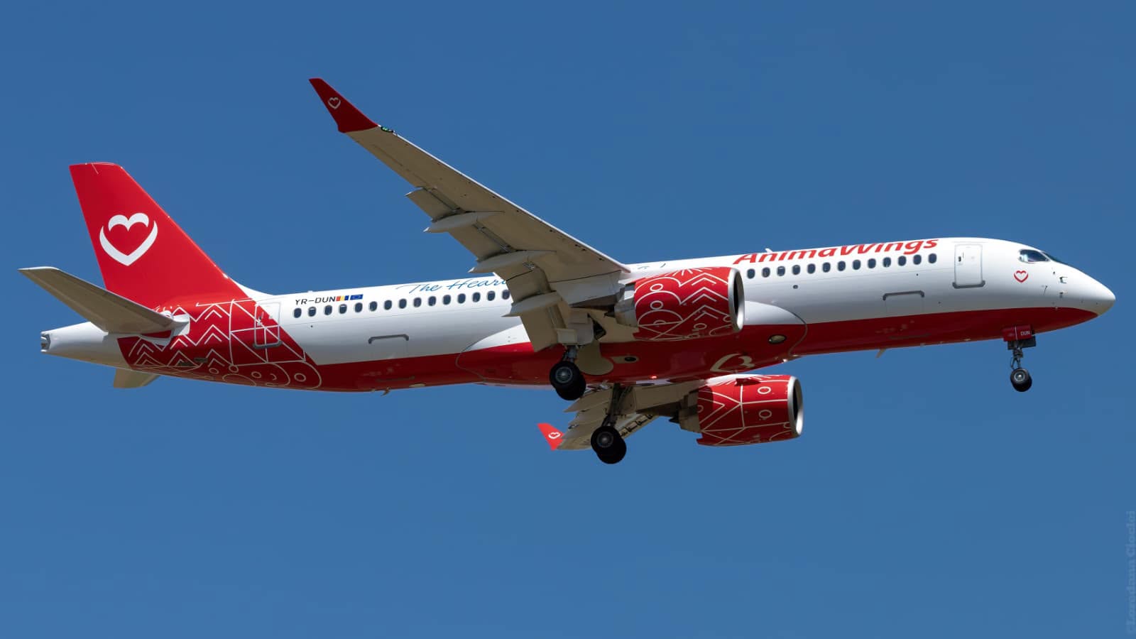 AnimaWings, noi rute BOMBA către Europa de săptămâna viitoare