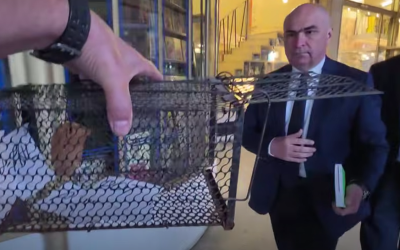Incident cu activistul Marian Ceaușescu și premierul Ilie Bolojan Premierul Ilie Bolojan a fost protagonistul unui incident neașteptat în momentul în care un activist l-a interpelat public, oferindu-i o cușcă și adresându-i întrebări critice despre situația politică din România