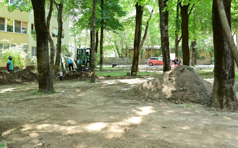 Sector 1: Pajura devine mai verde, 8000 mp reamenajați
