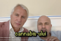 Teodorovici și Ungureanu: Nu mai blocați canabisul medicinal