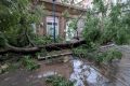 Furtună! București și Ilfov, pradă haosului: 1.124 copaci doborâți, 480 mașini distruse
