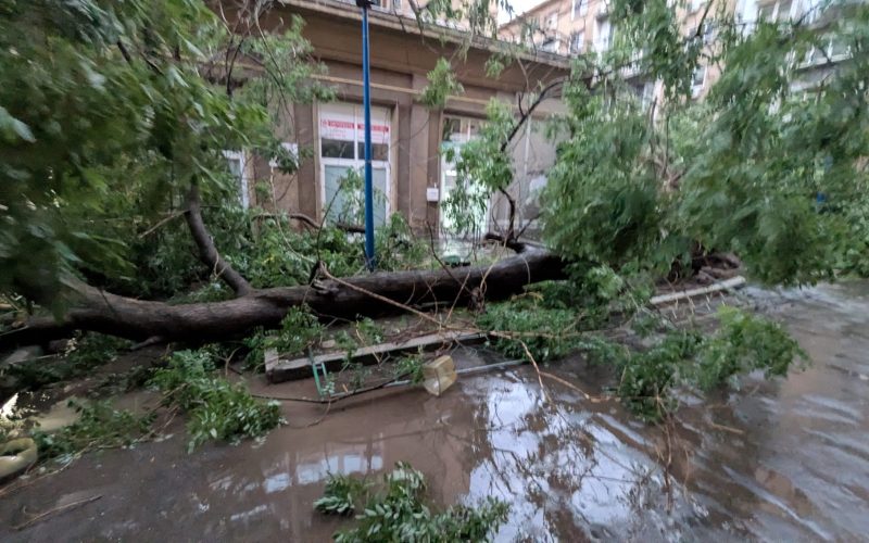 Furtună! București și Ilfov, pradă haosului: 1.124 copaci doborâți, 480 mașini distruse