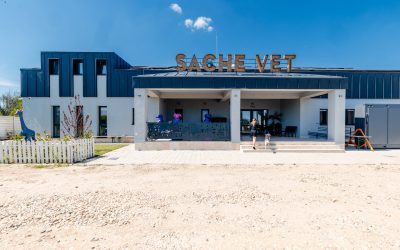 Spital veterinar social la o oră de București, 5.000 de animale găzduite