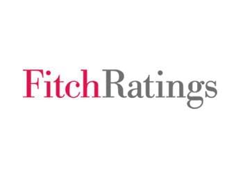 Fitch: România, la „BBB-„, dar cu avertisment. Nazare: Stabilitatea e cheia