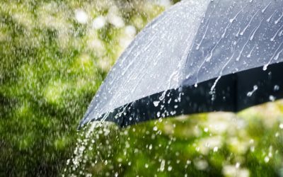 București și Ilfov: Caniculă cu cod portocaliu, furtuni pe listă