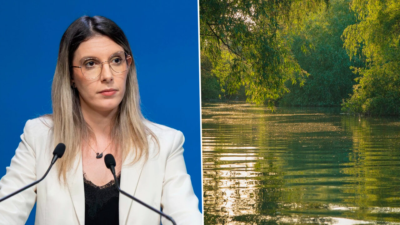 Reorganizarea Administrației Rezervației Biosferei Delta Dunării, în Consultare Publică Administrația Rezervației Biosferei „Delta Dunării” (ARBDD) urmează să fie reorganizată de Ministerul Mediului, Apelor și Pădurilor (MMAP)