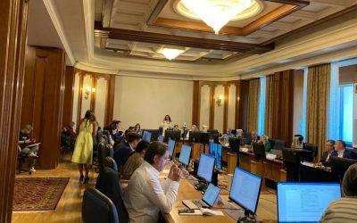 Comisia de industrii din Camera Deputaților, nemulțumită de „isteria” din spațiul public privind oprirea curentului, a admis că situația energetică actuală, declanșată de oprirea reactorului 1 de la Cernavodă din cauza nivelului scăzut al Dunării, va duce la creșterea tarifelor la electricitate