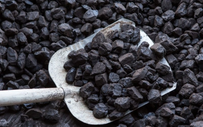 Președintele Federației Naționale Mine Energie, Dumitru Pîrvulescu, a lansat o critică vehementă la adresa politicii energetice a României, susținând că reducerea accelerată a capacităților pe bază de cărbune, fără alternative viabile, pune în pericol stabilitatea Sistemului Energetic Național