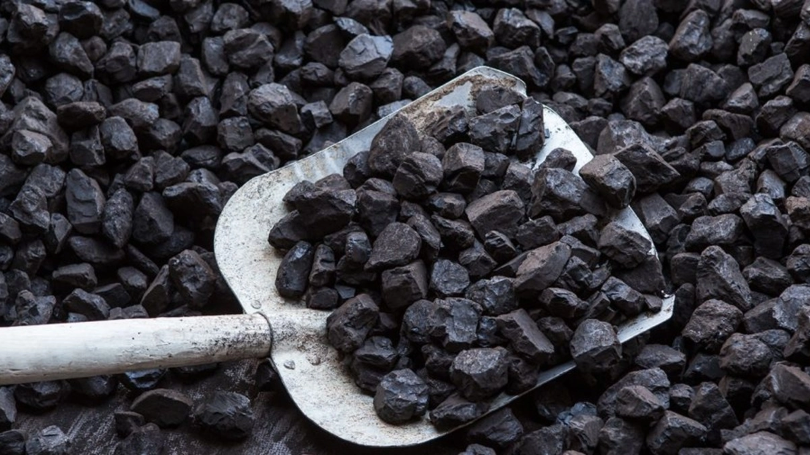 Președintele Federației Naționale Mine Energie, Dumitru Pîrvulescu, a lansat o critică vehementă la adresa politicii energetice a României, susținând că reducerea accelerată a capacităților pe bază de cărbune, fără alternative viabile, pune în pericol stabilitatea Sistemului Energetic Național