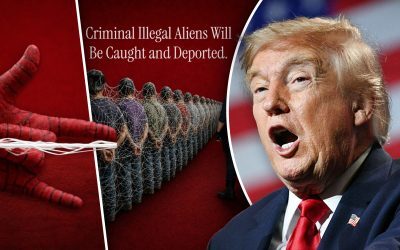 Donald Trump continuă controversa cu personaje protejate de drepturi de autor Președintele american Donald Trump a stârnit noi controverse postând pe pagina oficială a Casei Albe un colaj electoral cu supereroul Marvel, Spider-Man