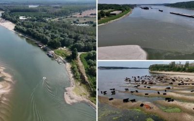 Reactorul 1 de la Centrala Nucleară de la Cernavodă a fost oprit, în timp ce decizia privind oprirea celei de-a doua unități de producție a fost amânată