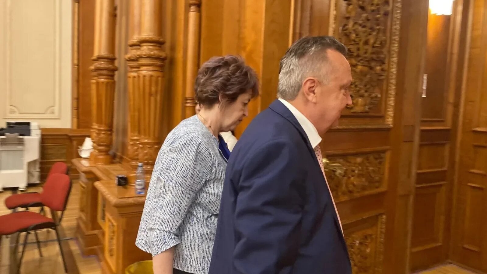 Senatoarea AUR Niculina Stelea a respins categoric ideea că reconfirmarea ratingului de țară de către agenția Moody’s ar fi un semn al unei economii românești performante
