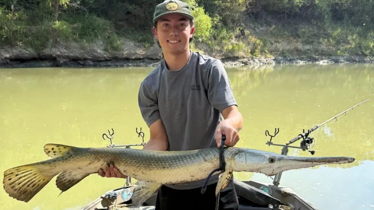 Un pescar din Texas a prins un specimen rar, o creație naturală rezultată din încrucișarea a două specii de pești „fosile vii”, una dintre ele datând de peste 200 de milioane de ani