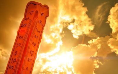 August 2026 a stabilit noi recorduri de temperatură la nivel global, devenind cea mai caldă lună înregistrată vreodată, conform celui mai recent raport al Serviciului Copernicus pentru schimbări climatice (C3S)