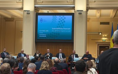 Peiu, la BNR: Guvernul s-a împrumutat excesiv, am urmat modelul CE