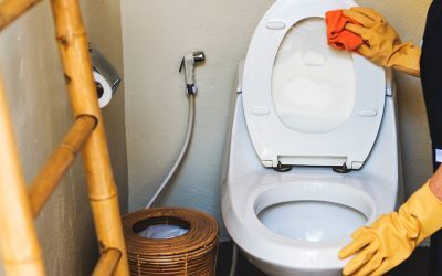 Experții în igienă și microbiologie atrag atenția asupra importanței curățării toaletei, recomandând o igienizare temeinică săptămânală în gospodăriile obișnuite