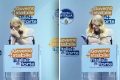 Prim-ministra Italiei, Giorgia Meloni, a oferit un moment inedit în timpul unui miting politic, întrerupându-și discursul pentru a răspunde unui apel telefonic de la fiica sa