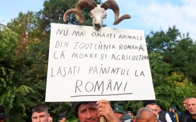Fermierii și crescătorii de animale au ieșit marți, 15 septembrie, în Piața Victoriei din București, protestând vehement împotriva unui pachet amplu de măsuri pe care îl solicită de la Guvern