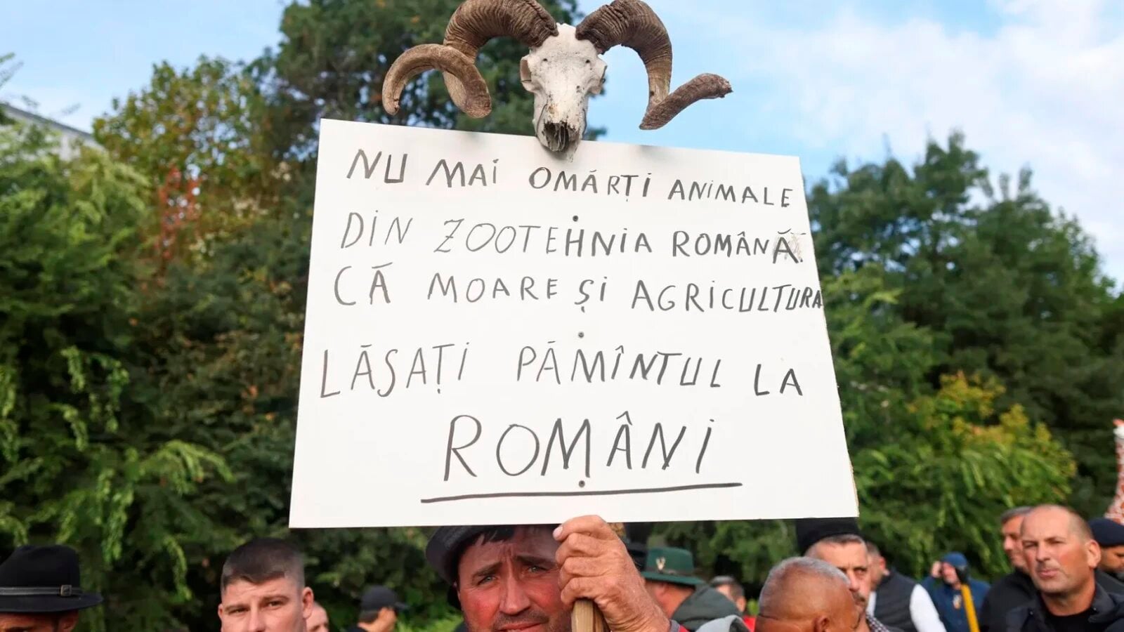 Fermierii și crescătorii de animale au ieșit marți, 15 septembrie, în Piața Victoriei din București, protestând vehement împotriva unui pachet amplu de măsuri pe care îl solicită de la Guvern