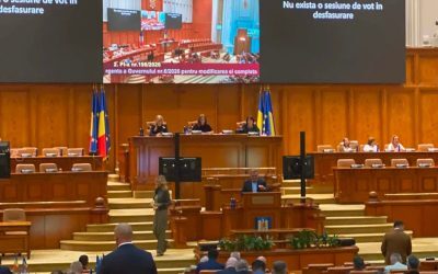 Scandal în plenul Camerei Deputaților: Ceartă pe procedură între Raluca Turcan și Natalia Intotero O dispută aprinsă pe procedură a marcat ședința plenului Camerei Deputaților, unde Raluca Turcan, vicelider al grupului PNL, a intrat în conflict cu președintele de ședință, Natalia Intotero (PSD)