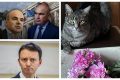 Rareș Bogdan, critic vehement la adresa guvernului „undercover Bolojan 2” Europarlamentarul liberal Rareș Bogdan a lansat o serie de critici acide la adresa intenției de a forma un nou guvern, denumit „undercover Bolojan 2”, cerând celor 23 de parlamentari din Platforma Liberal-Conservatoare din cadrul PNL să voteze pentru un Executiv stabil