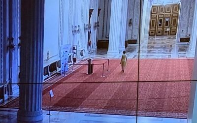 Ancheta parlamentară privind întâlnirea dintre premierul ILIE BOLojan și președintele Curții Constituționale, ELENA-SIMINA TĂNĂSESCU, desfășurată pe 14 august în biroul președintelui Senatului, MIRCEA ABRUDEAN, s-a reluat marți în Comisia de constituționalitate a Senatului