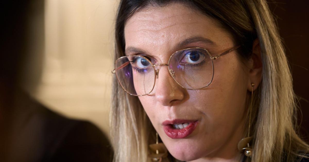 Ministrul interimar al Mediului, Apelor și Pădurilor, DIANA BUZOIANU, acuză Direcția Silvică Ilfov, condusă de CEZAR MIHAIL RĂDUȚĂ, de corupție și acțiuni care contravin intereselor Romsilva în cazul drumului din pădurea Băneasa