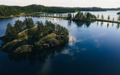 Brazii de Crăciun, o nouă viață subacvatică: Experimentul din Finlanda, un succes ecologic O inițiativă ecologică inovatoare, desfășurată în lacul Saimaa din Finlanda, demonstrează cum resursele aparent epuizate pot contribui la revitalizarea biodiversității acvatice