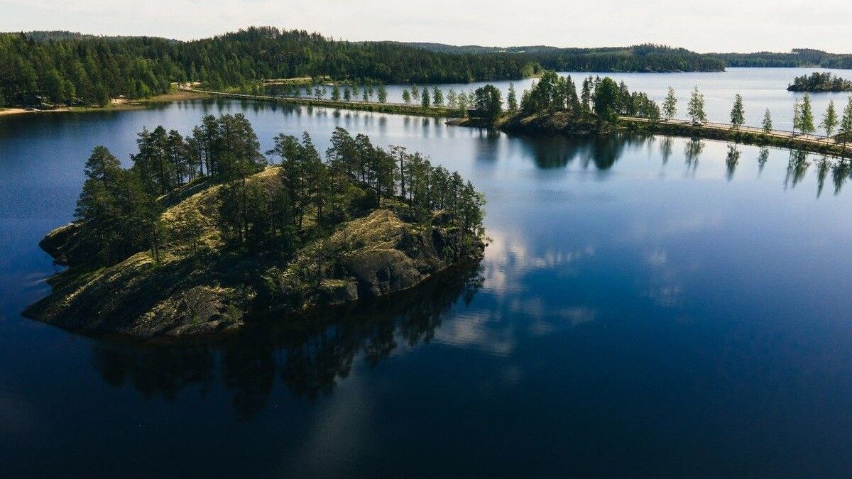 Brazii de Crăciun, o nouă viață subacvatică: Experimentul din Finlanda, un succes ecologic O inițiativă ecologică inovatoare, desfășurată în lacul Saimaa din Finlanda, demonstrează cum resursele aparent epuizate pot contribui la revitalizarea biodiversității acvatice