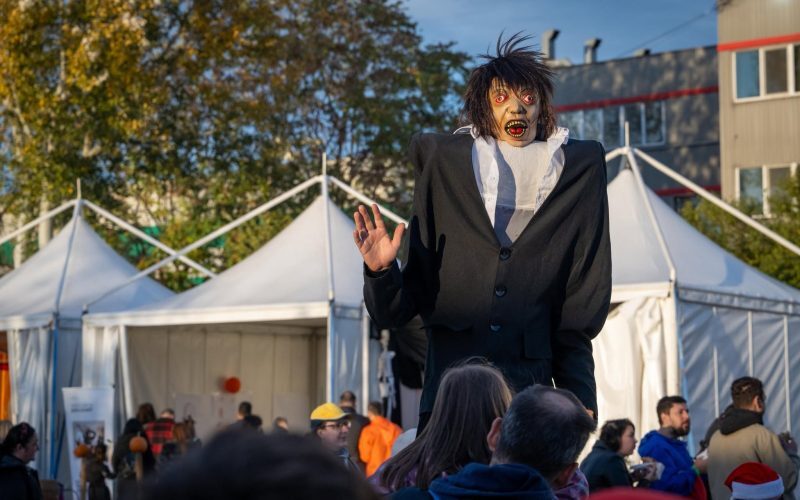 West Side Hallo Fest: 135.000 euro achiziții directe în Sectorul 6