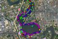 Herăstrău: Află totul despre copacii din parc