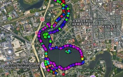 Herăstrău: Află totul despre copacii din parc