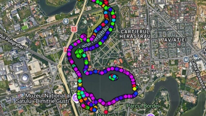 Herăstrău: Află totul despre copacii din parc