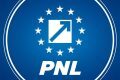 PNL decide sâmbătă: acceptă Guvernul Niculescu