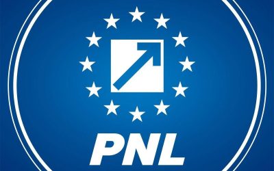 PNL decide sâmbătă: acceptă Guvernul Niculescu