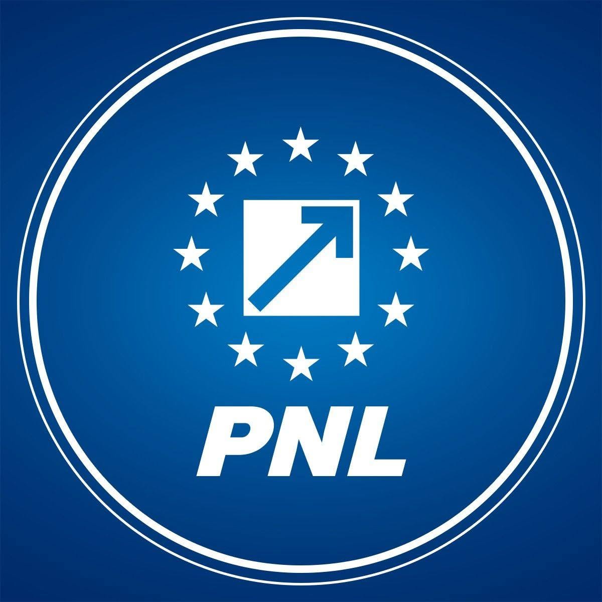 PNL decide sâmbătă: acceptă Guvernul Niculescu